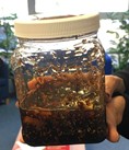 tar in a jar